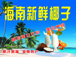 海南新鲜椰子饮品展示