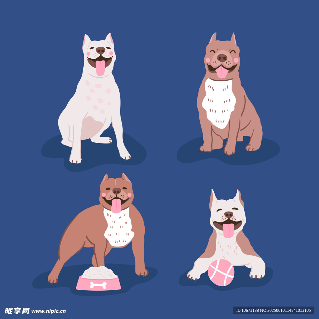 可爱狗狗与玩具的温馨画面