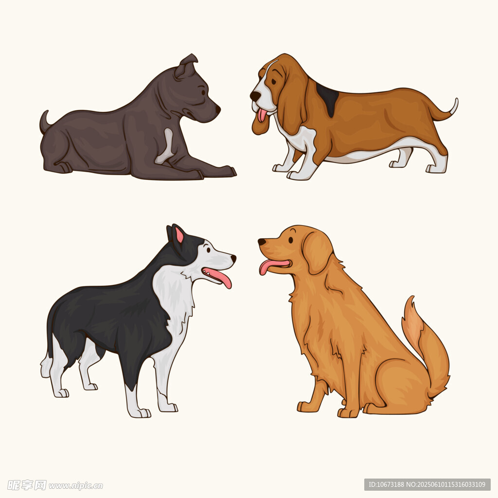 多样萌犬姿态展示