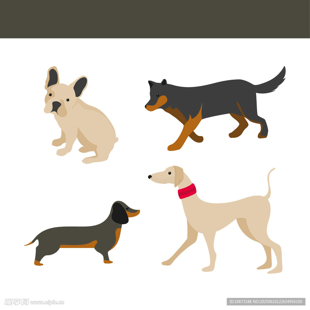 多样萌犬集合