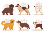 多样萌犬集合