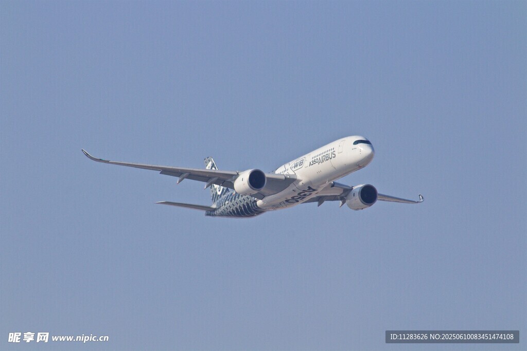 空中飞行的大型客机