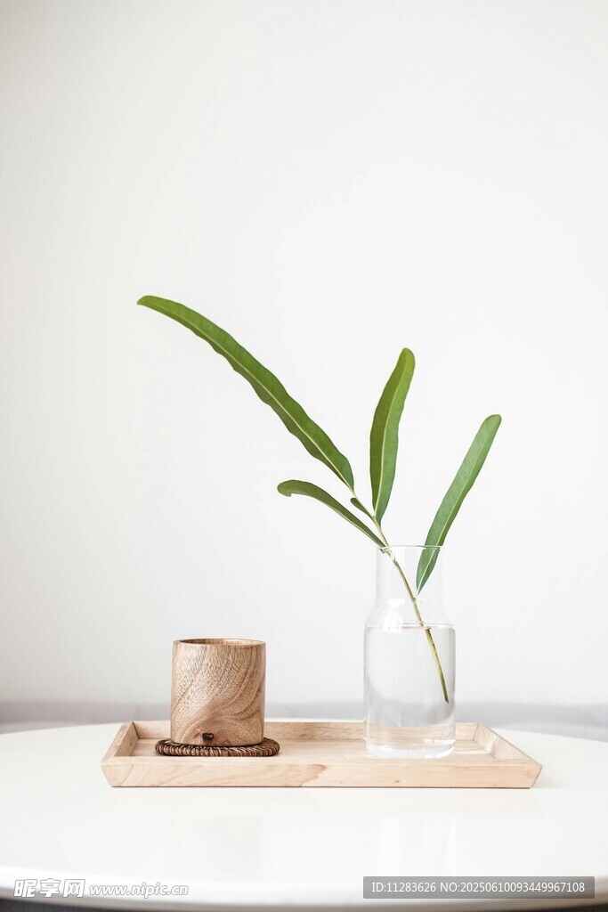 简约绿植摆件