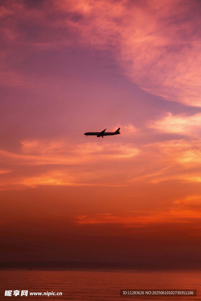 夕阳下翱翔的飞机