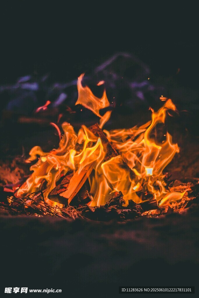 熊熊燃烧的篝火