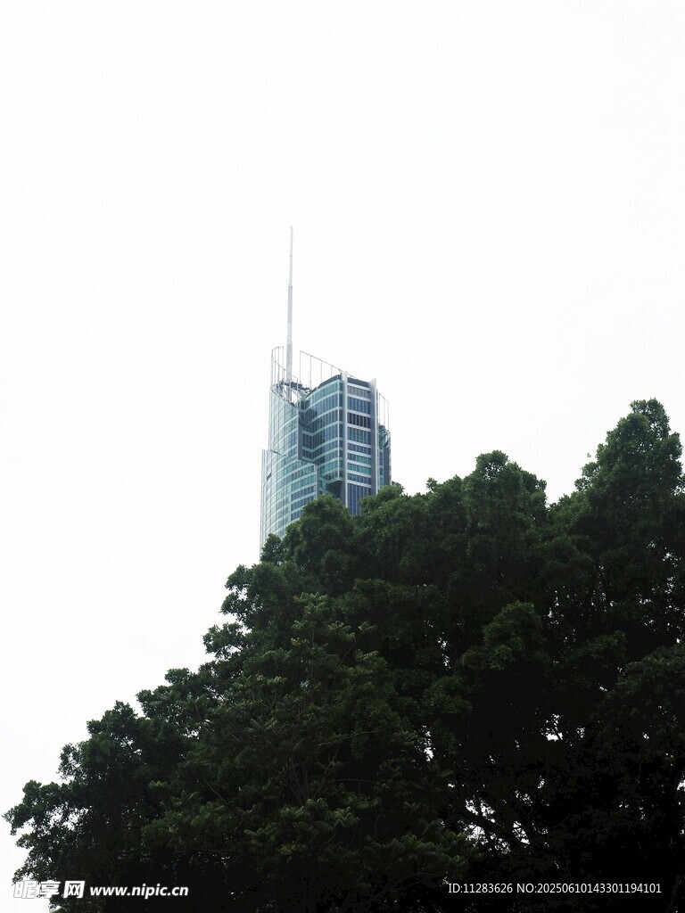 绿树掩映中的高楼尖顶