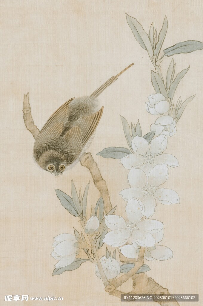 工笔花鸟图