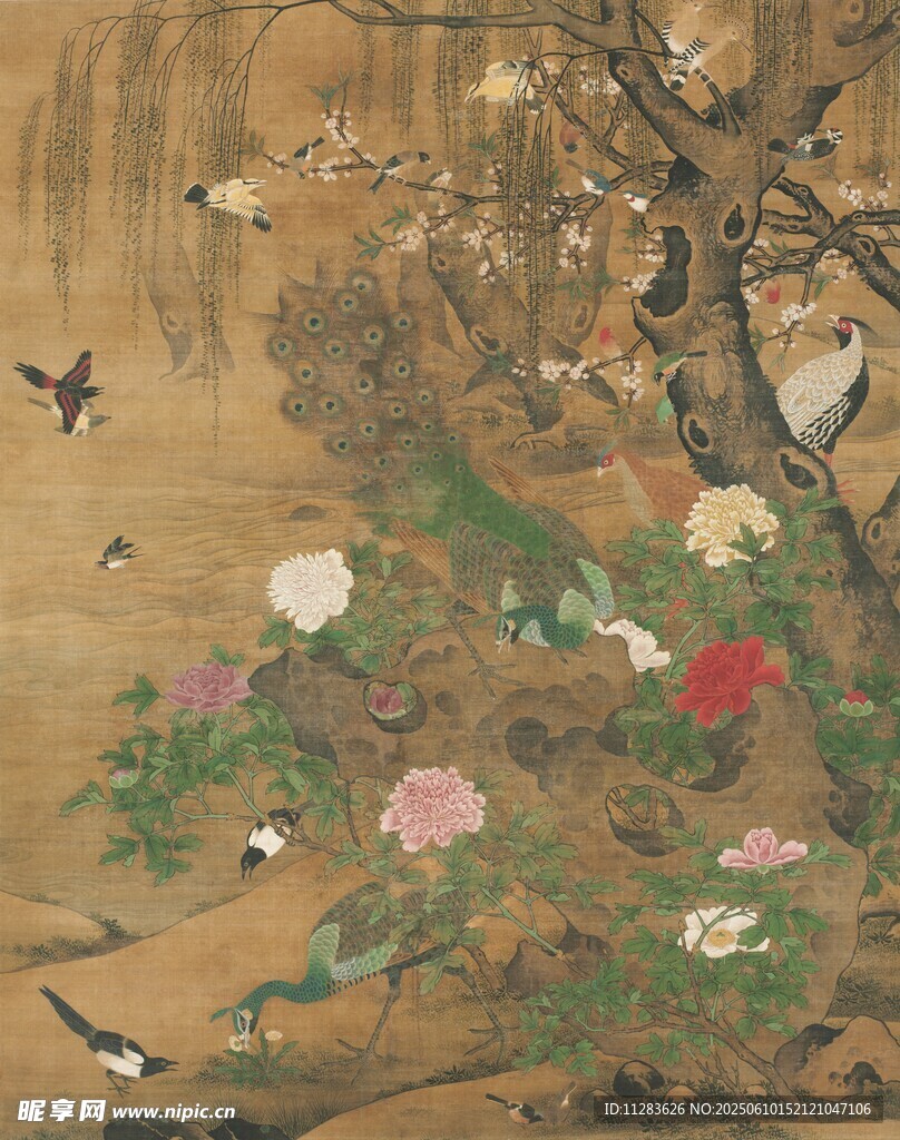 花鸟图绘