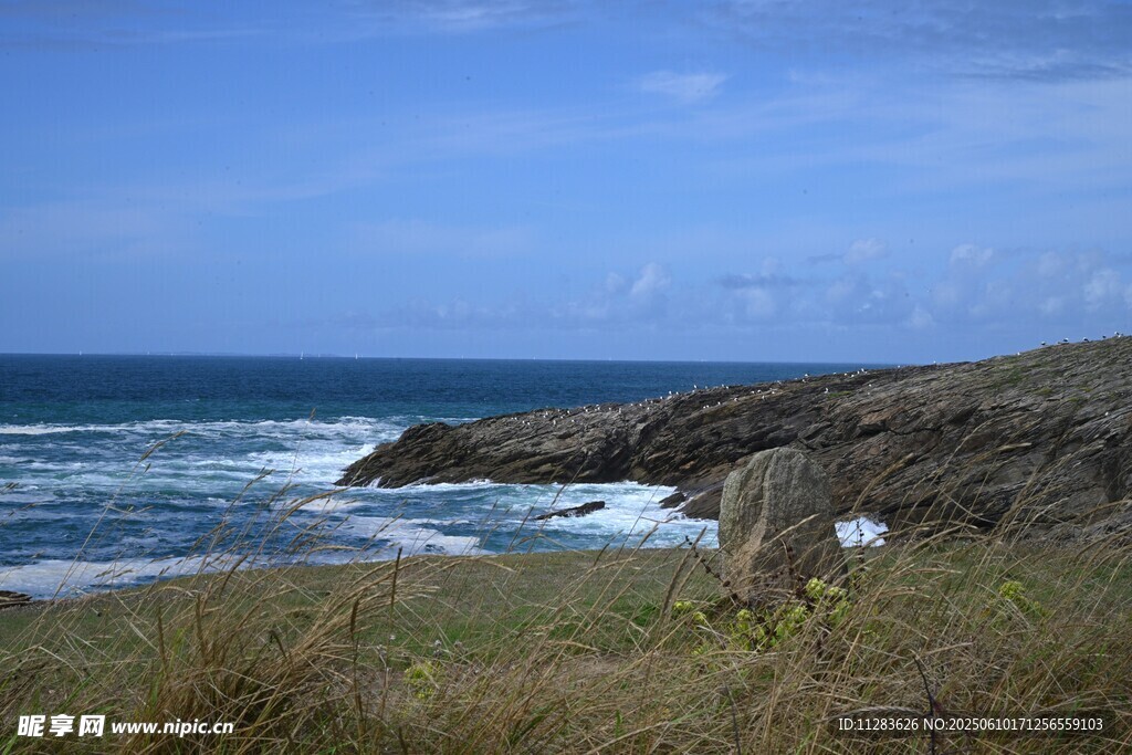 海边岩石与草地风景