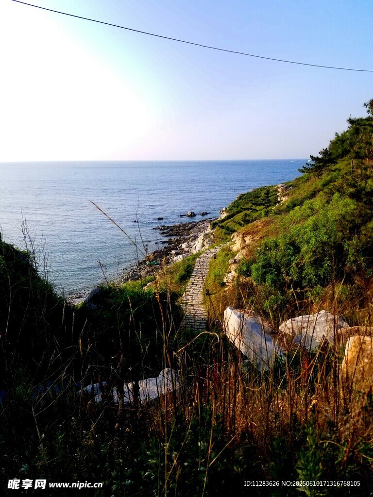 海边山坡景致