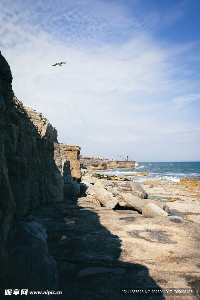 海岸边的岩石与飞翔海鸟