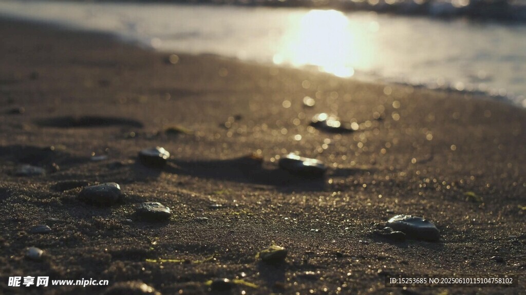 夕阳下的沙滩贝壳美景