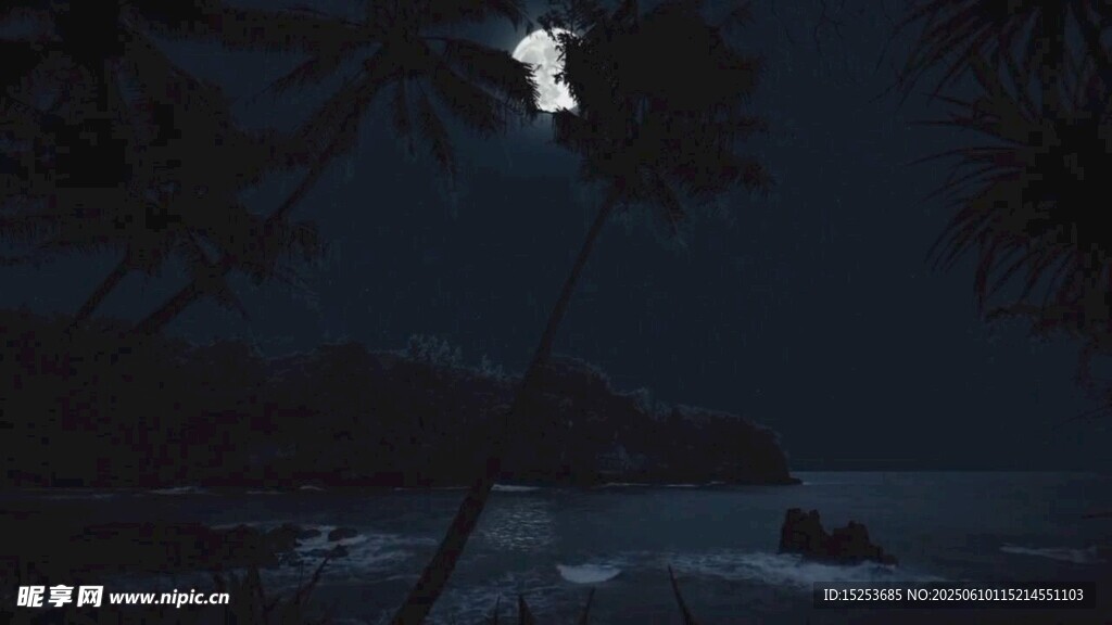 月夜下的孤独白色剪影