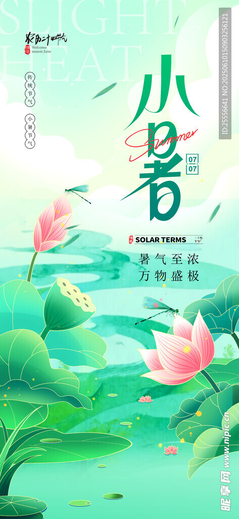 二十四节气之小暑节日海报