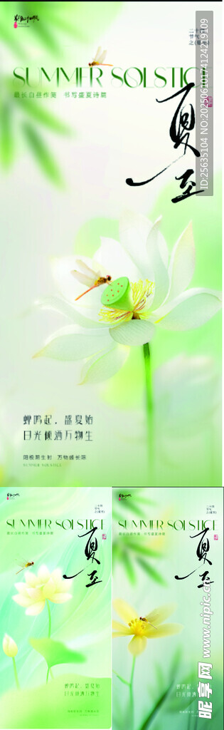 夏至节气海报 