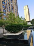 城市景观中的绿植与建筑