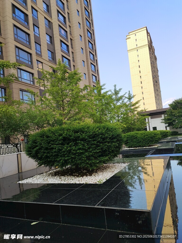 城市景观中的绿植与建筑