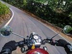  蜿蜒公路与山林