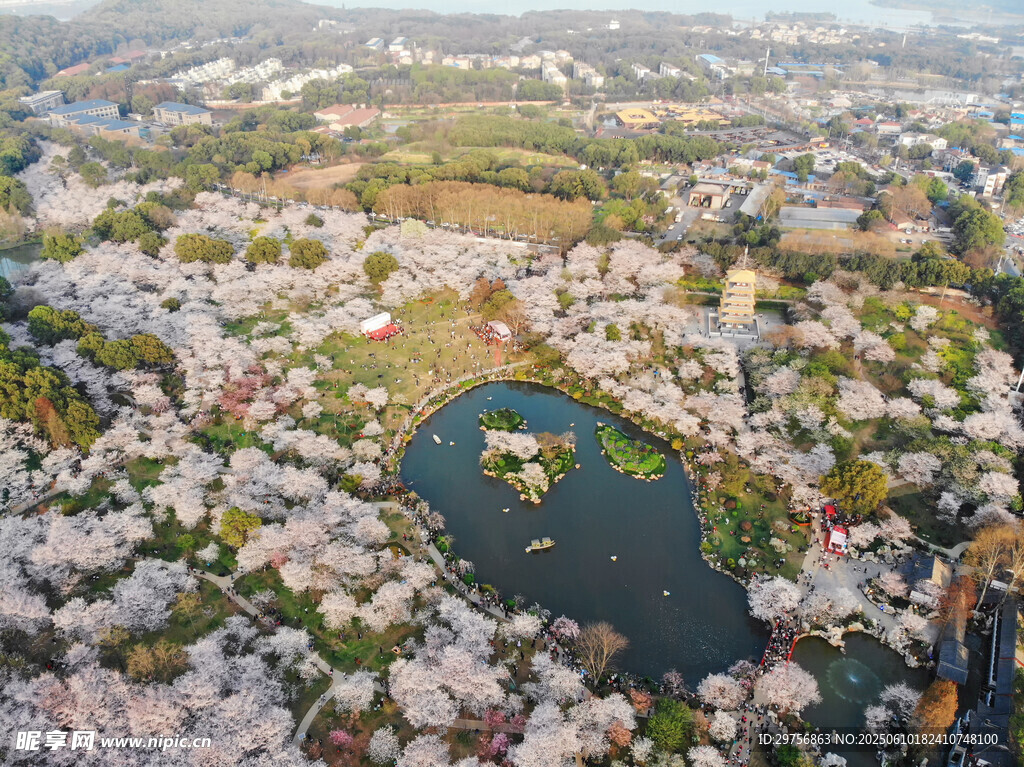 春日繁花环绕的湖畔美景