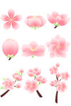 植物矢量桃花图标插画元素素材
