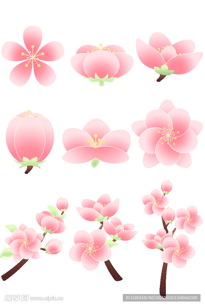 植物矢量桃花图标插画元素素材