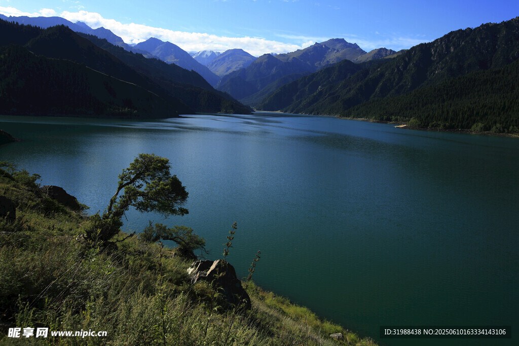 湖畔孤树青山碧水美景