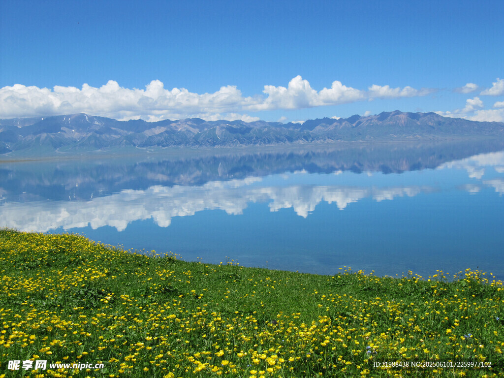 湖畔花海美景