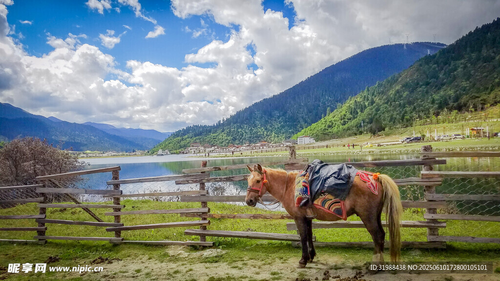 草原骏马山水间的悠然风景