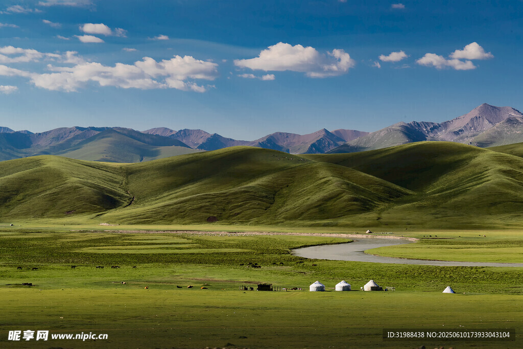 草原风光牛羊点缀美景