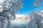 冬日冰雪覆盖的树木与湖景