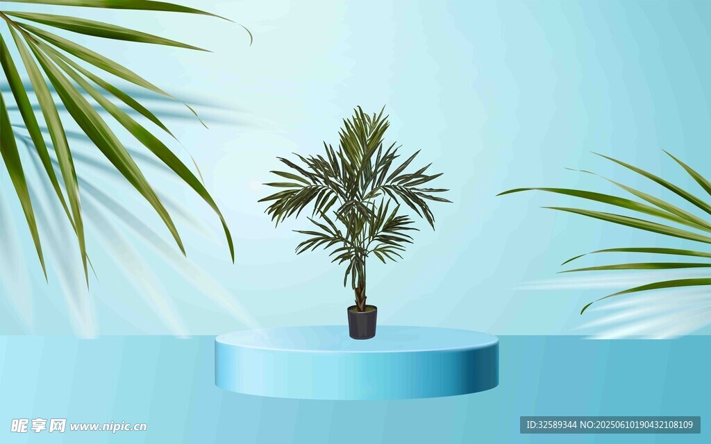 蓝色背景中的迷你棕榈树