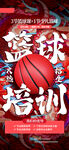 篮球培训招生宣传海报