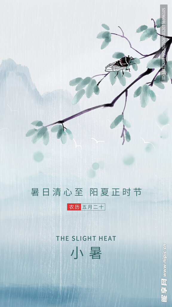 小暑时节枝头绿意与红果