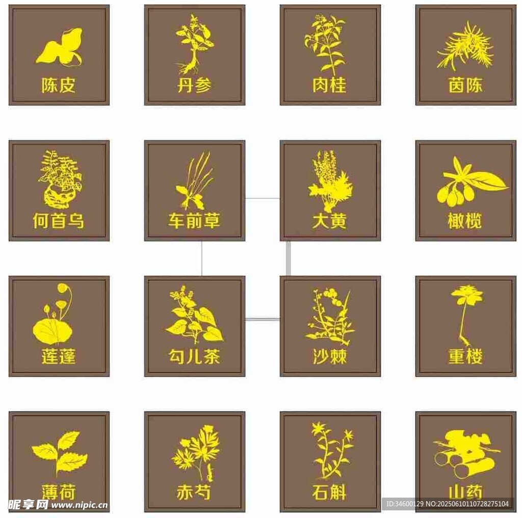传统中药植物图案剪影集合