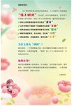 意见箱设计