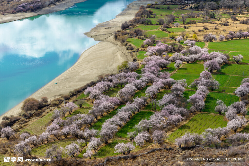 湖畔繁花盛开的美丽景致
