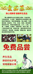 金龙茶免费品尝活动宣传海报
