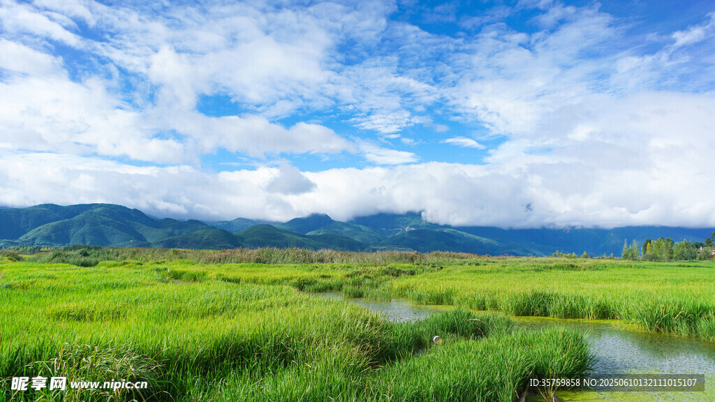 草原湿地风光美景