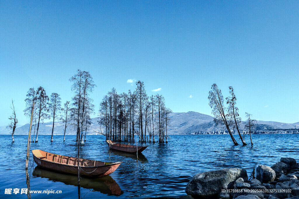 湖中小船与枯树的静谧景