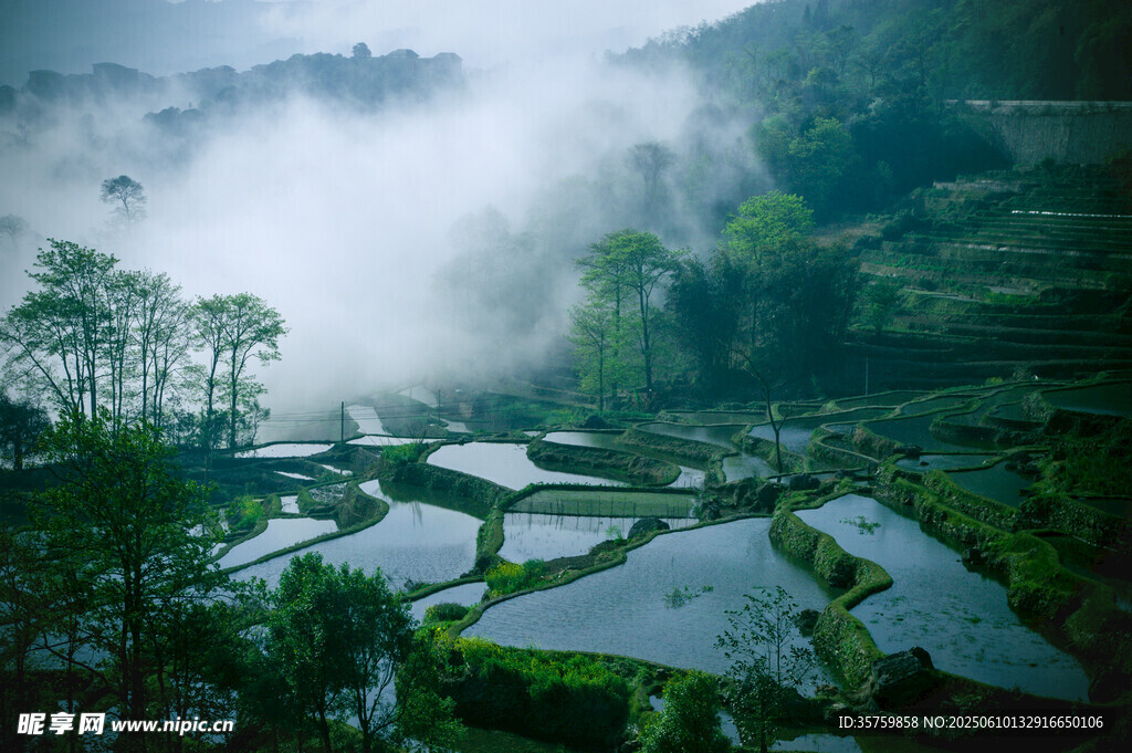 云雾缭绕的山间梯田美景
