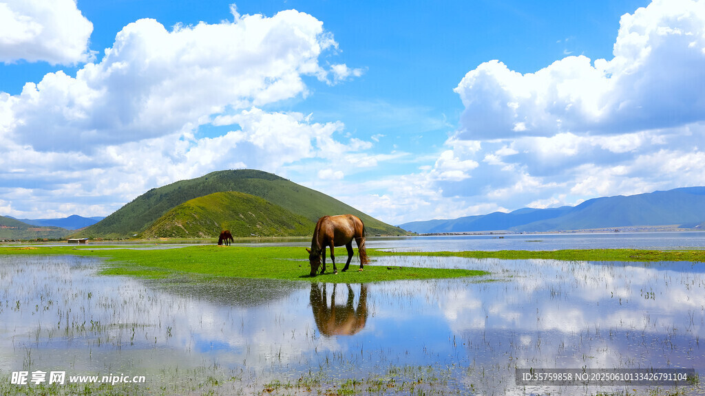 草原湖畔骏马倒影美景