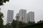 城市高楼与绿树景观