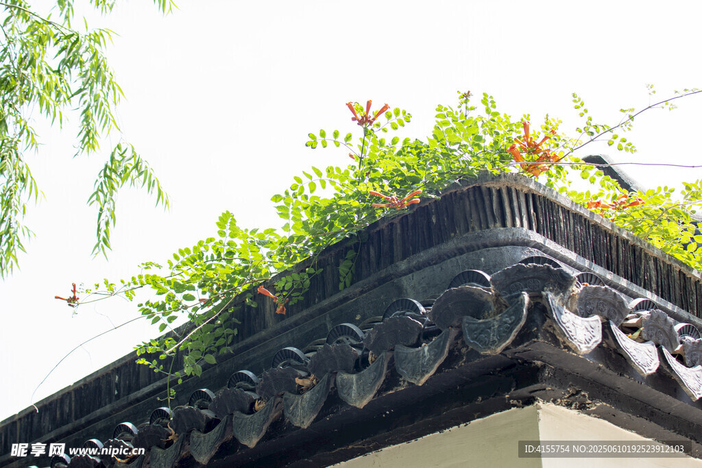 屋顶绿植装点中式屋檐