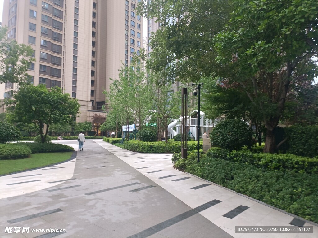 小区内整洁的林荫步道