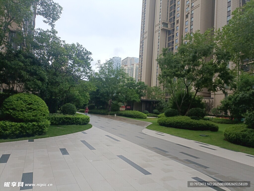 小区内整洁的绿化道路