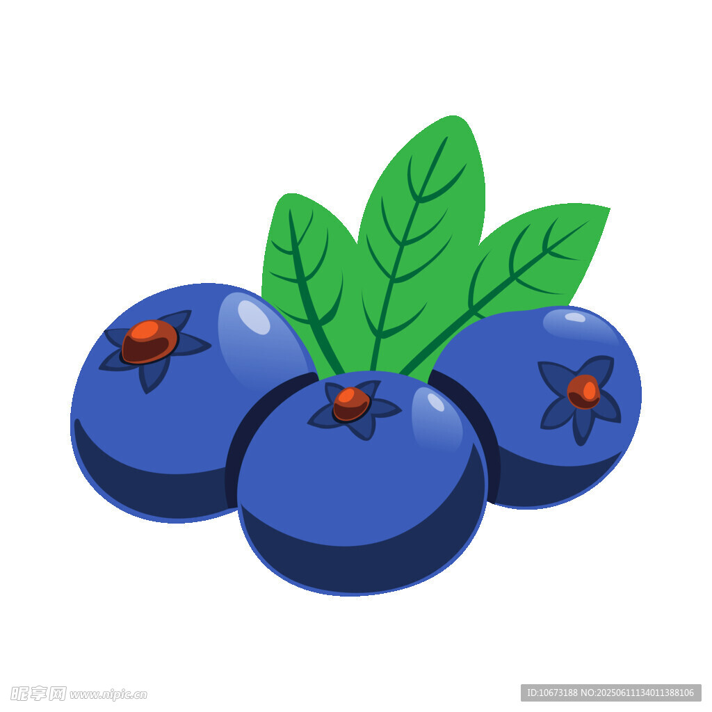 三颗饱满蓝莓插画