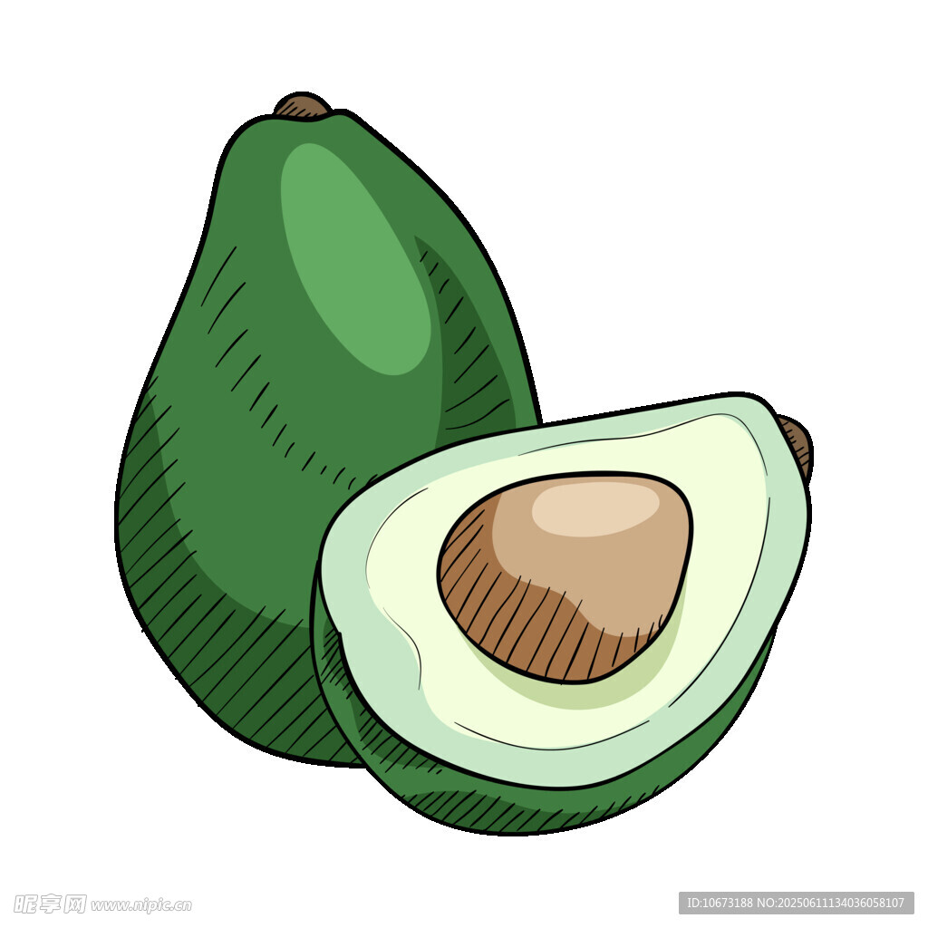 手绘牛油果