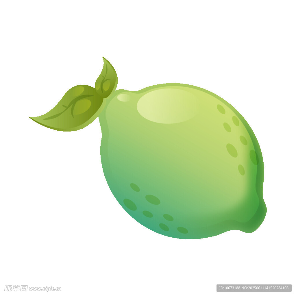 清新青柠檬插画