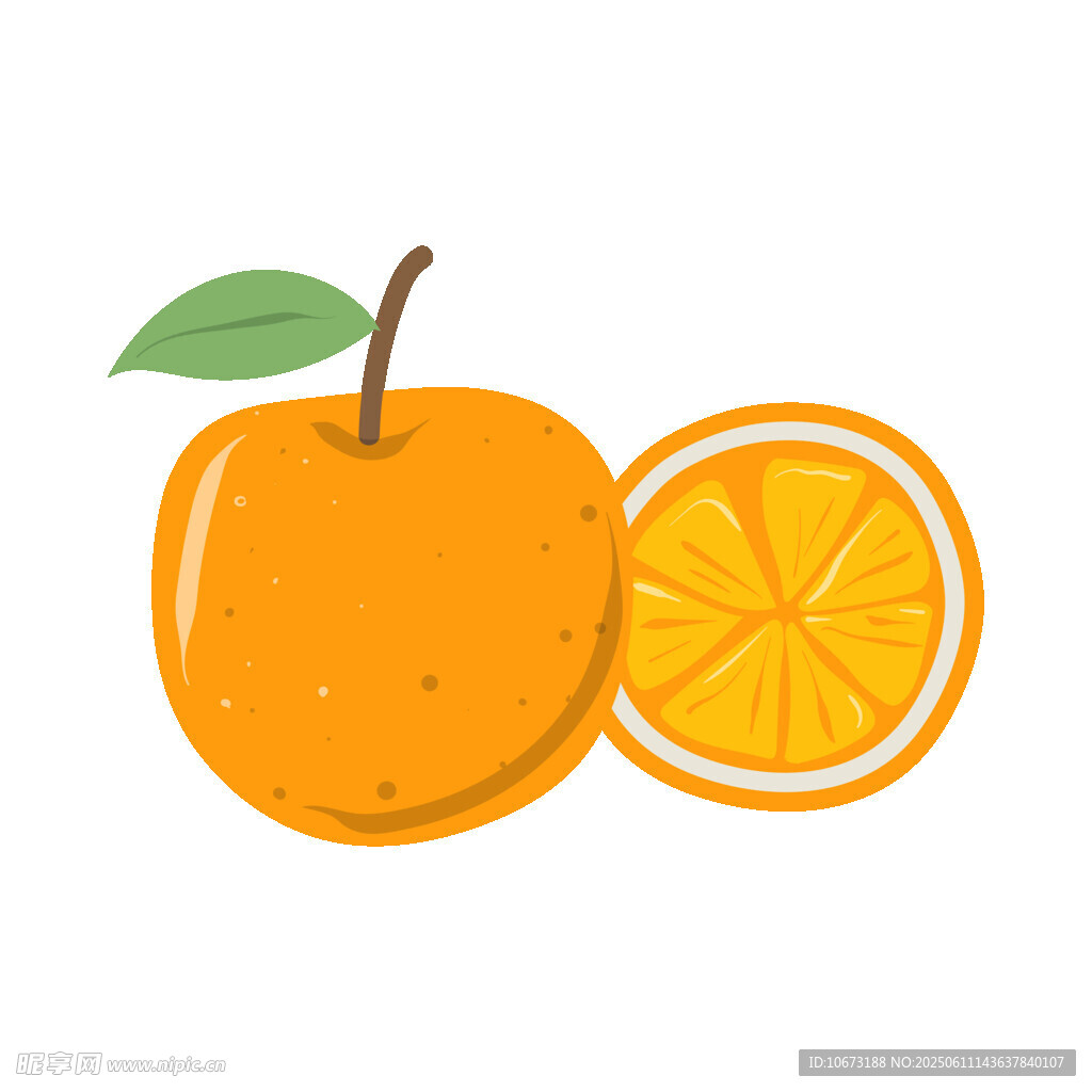 可爱橙子插画