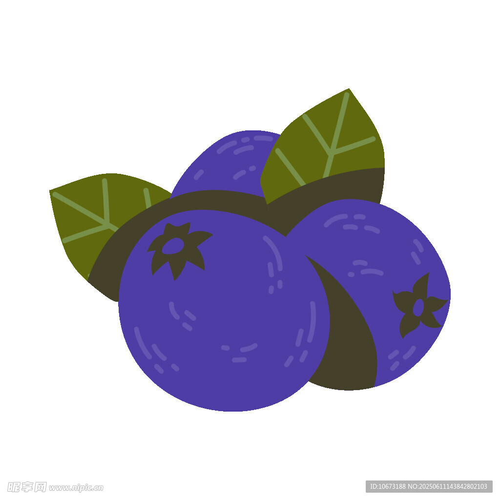 可爱蓝莓插画